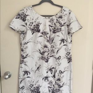 LOFT EUC greyscale watercolor shift dress size 4